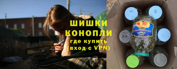гидропоника Богданович
