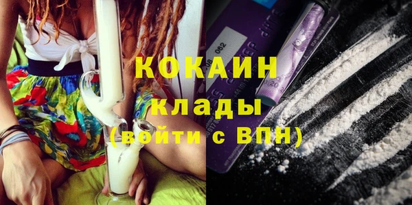 гидропоника Богданович