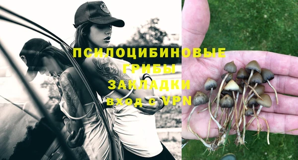 синтетический гашиш Богородицк