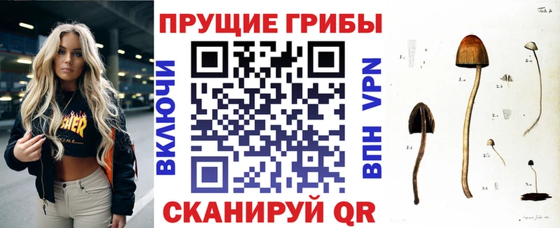 Галлюциногенные грибы MAGIC MUSHROOMS  где можно купить наркотик  kraken tor  Плёс 