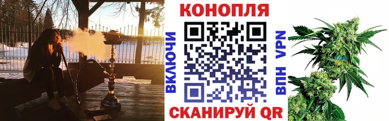Бошки марихуана сатива хочу наркоту hydra Плёс